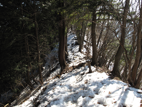 20160128hike (252)